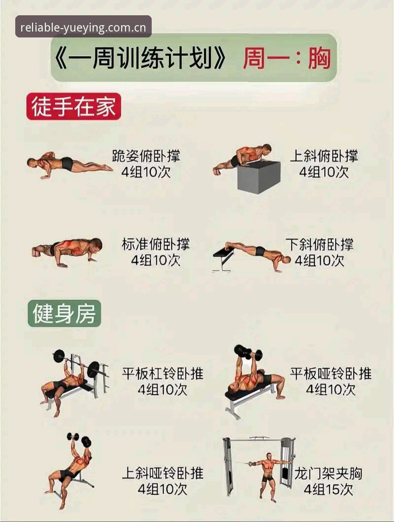 新手必看：悦盈体育稳定可靠的4大核心优势与完整上手指南